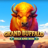 Grand Buffalo Hold and Win